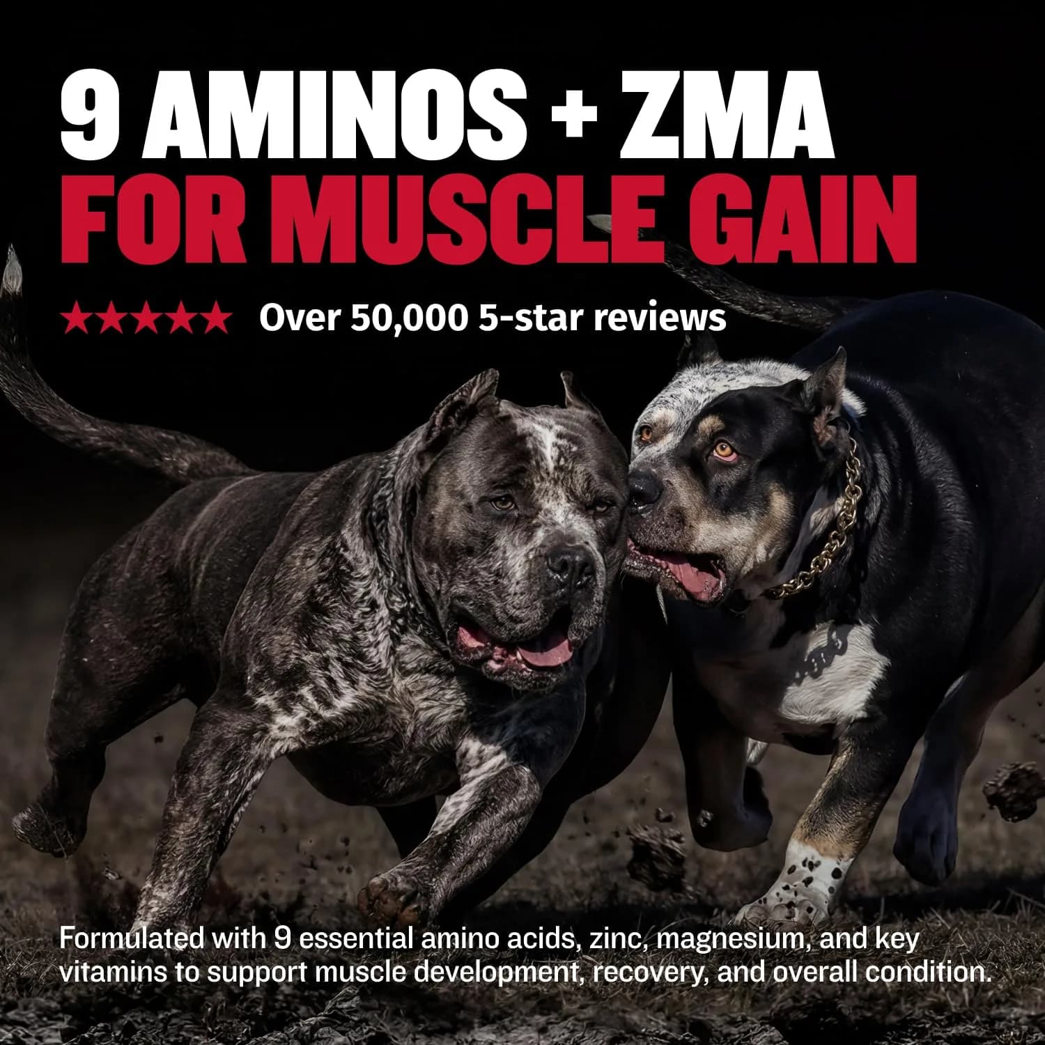 Bully Max 2-in-1 Muscle Builder Chewable Tablets for Dogs - 60 Tabs (2 Bottles) - view 5