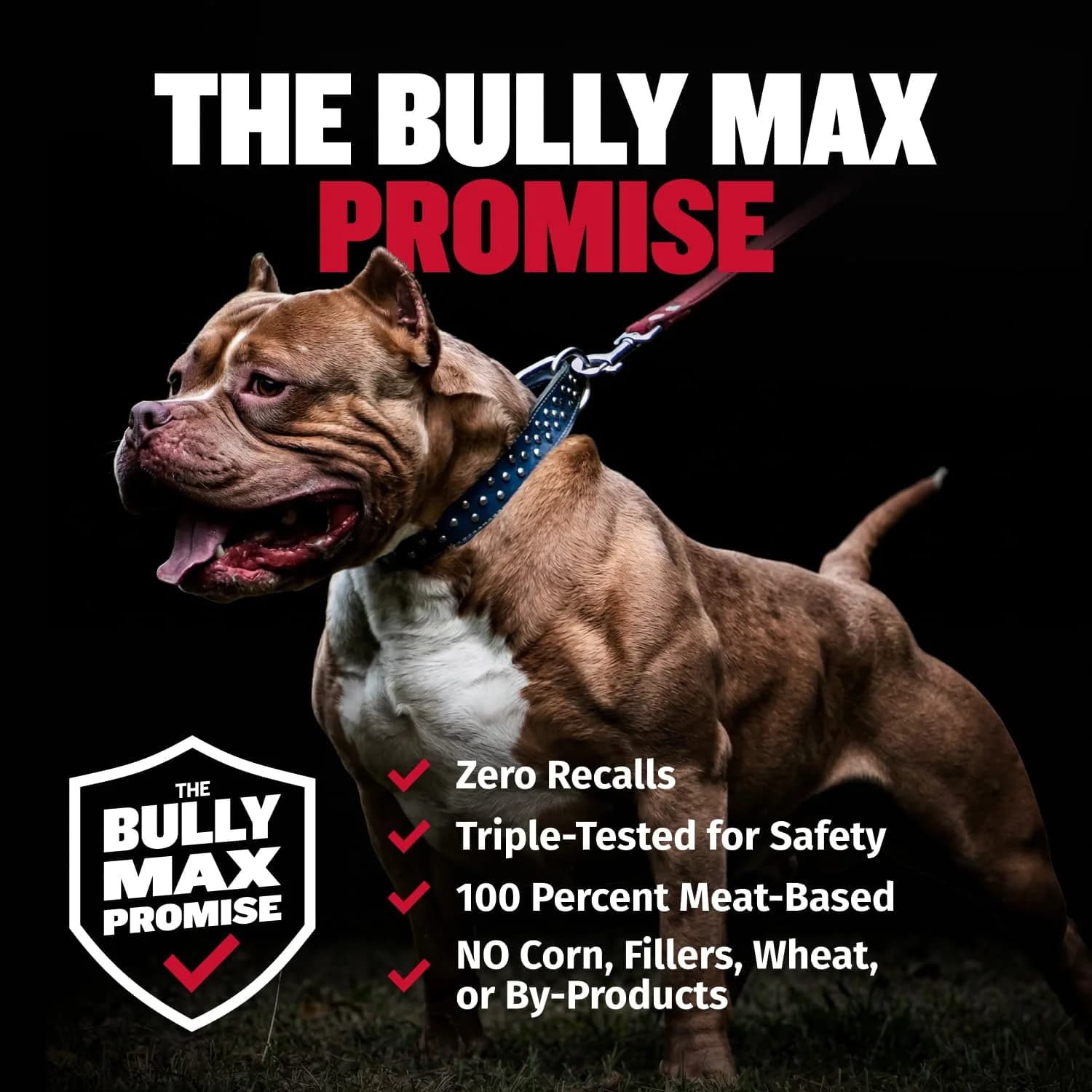 Bully Max 2-in-1 Muscle Builder Chewable Tablets for Dogs - 60 Tabs (2 Bottles) - view 7
