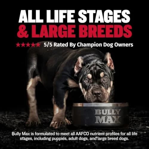 Bully Max 2-in-1 Muscle Builder Chewable Tablets for Dogs - 60 Tabs (3 Bottles) | Vet-Recommended Canine Multivitamin for Muscle Gain & Growth thumbnail 4