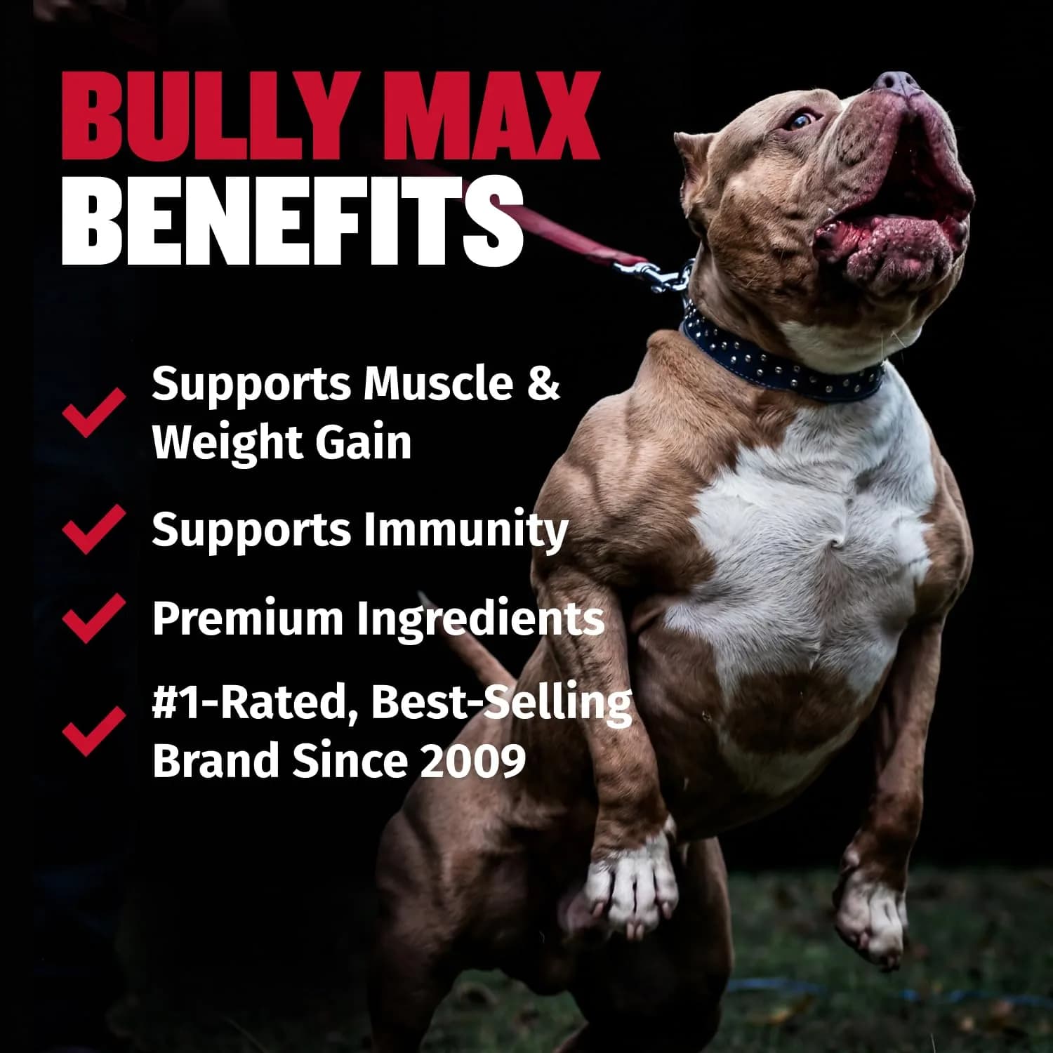 Bully Max 2-in-1 Muscle Builder Chewable Tablets for Dogs - 60 Tabs (3 Bottles) | Vet-Recommended Canine Multivitamin for Muscle Gain & Growth - view 2