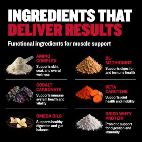 Bully Max 2-in-1 Muscle Builder Chewable Tablets for Dogs - 60 Tabs (3 Bottles) | Vet-Recommended Canine Multivitamin for Muscle Gain & Growth thumbnail 3
