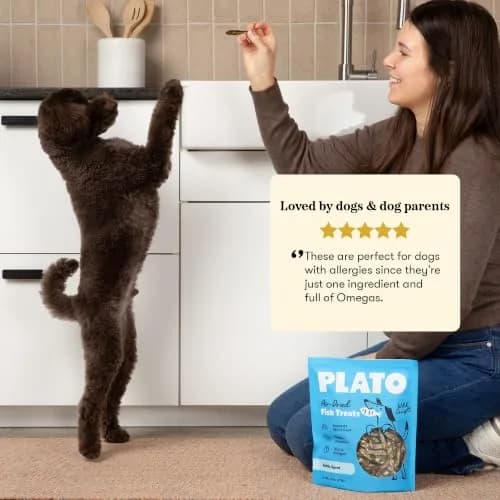PLATO Single Ingredient Baltic Sprat Dog Treats 7.5 oz | Omega-Rich, Air-Dried Fish for Skin & Coat thumbnail 5