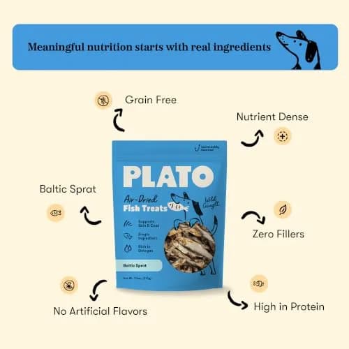 PLATO Single Ingredient Baltic Sprat Dog Treats 7.5 oz | Omega-Rich, Air-Dried Fish for Skin & Coat thumbnail 2