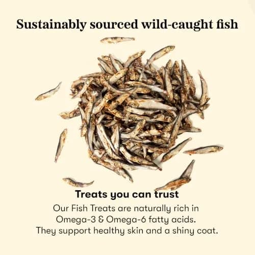 PLATO Single Ingredient Baltic Sprat Dog Treats 7.5 oz | Omega-Rich, Air-Dried Fish for Skin & Coat thumbnail 3