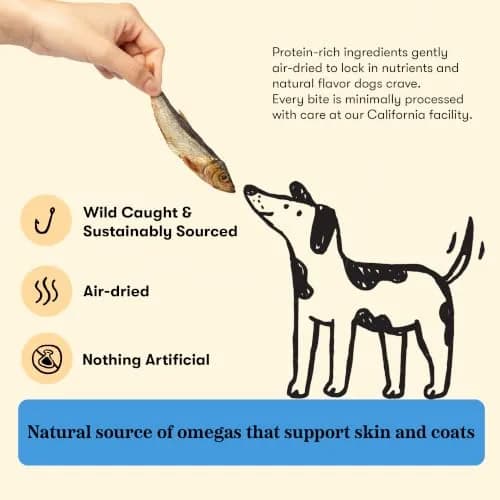 PLATO Single Ingredient Baltic Sprat Dog Treats 7.5 oz | Omega-Rich, Air-Dried Fish for Skin & Coat thumbnail 4