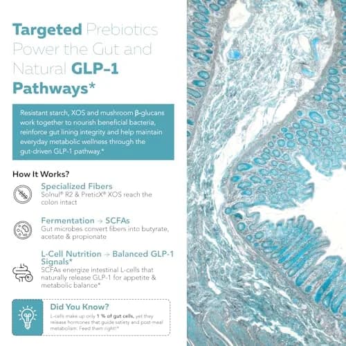 Triquetra Health GLP-Pre™ Optimized Prebiotic Fiber Complex, 5oz | Gut & Metabolic Support with Clinically Studied Fibers thumbnail 3