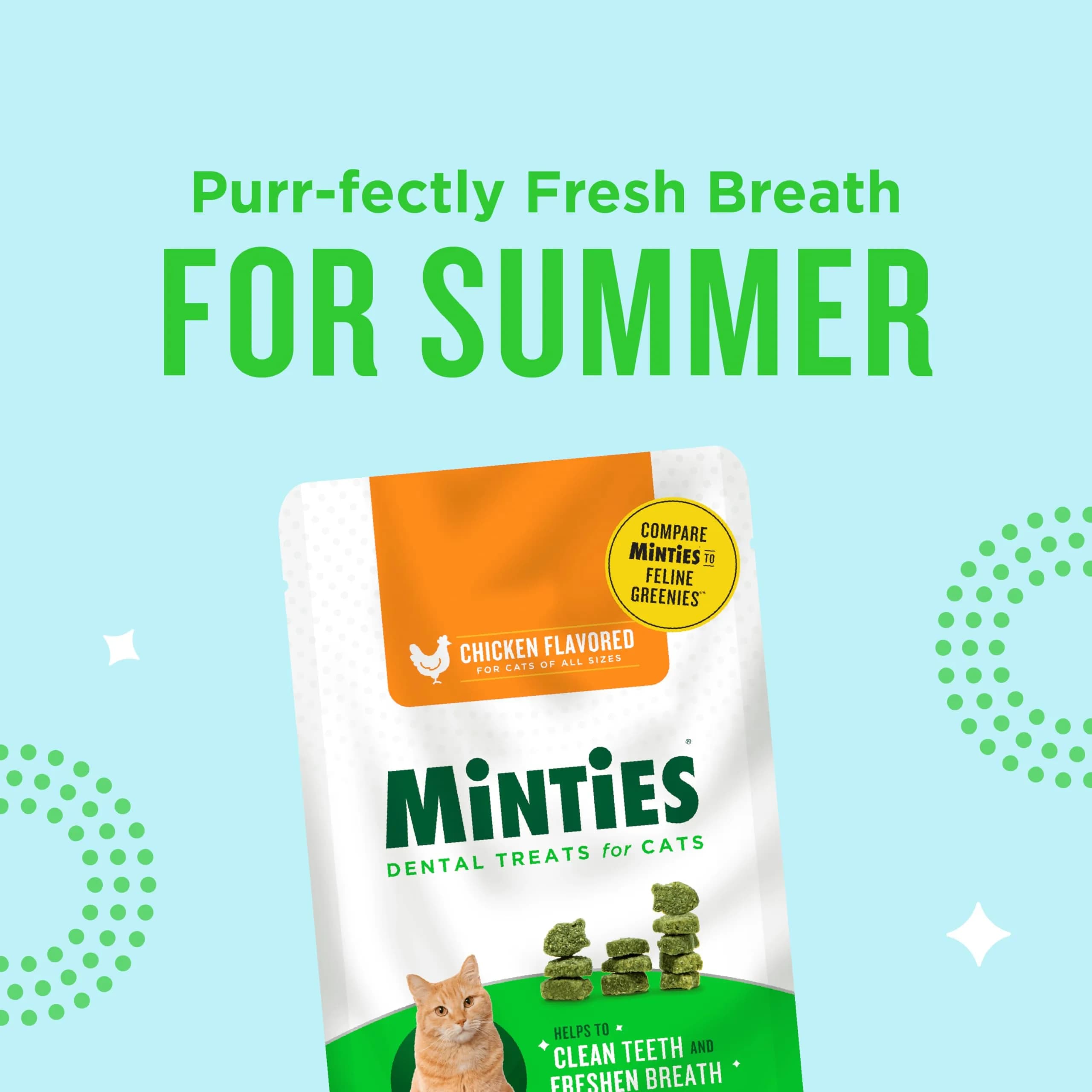 Minties Dental Treats for Cats, Salmon Flavored Cat Dental Treats, Freshens Breath and Controls Tartar, 283g (10 oz) - view 3