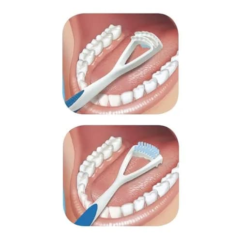 GUM Dual Action Tongue Cleaner Brush/Scraper 3 Count | Fights Bad Breath & Removes Plaque thumbnail 2