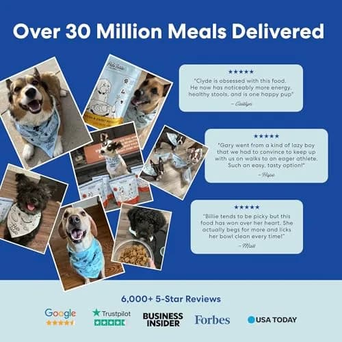 The Pets Table Air Dried Dog Food, Beef & Berries, 1 lb (16 Oz) | Grain-Free, High-Protein, Wholesome Nutrition thumbnail 7