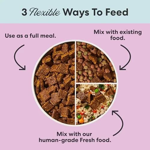 The Pets Table Air Dried Dog Food, Beef & Berries, 1 lb (16 Oz) | Grain-Free, High-Protein, Wholesome Nutrition thumbnail 3
