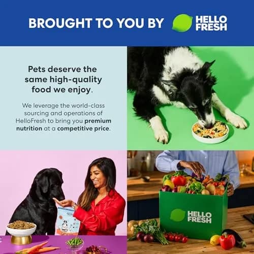 The Pets Table Air Dried Dog Food, Chicken & Sweet Potato | All Life Stages, 1 lb (16 Oz) thumbnail 2