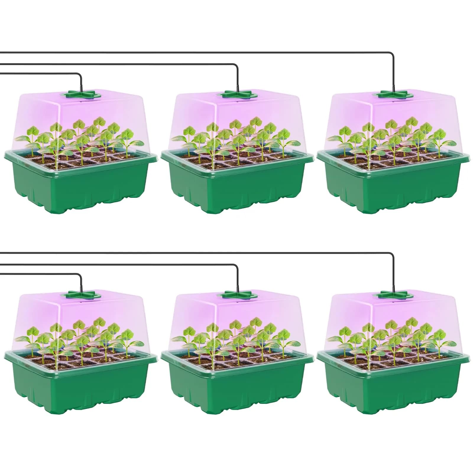 MIXC 4 Pack Seed Starter Kit with Grow Light, Vented Humidity Dome, Green | Full Spectrum LED for Indoor Gardening — 6-Pack