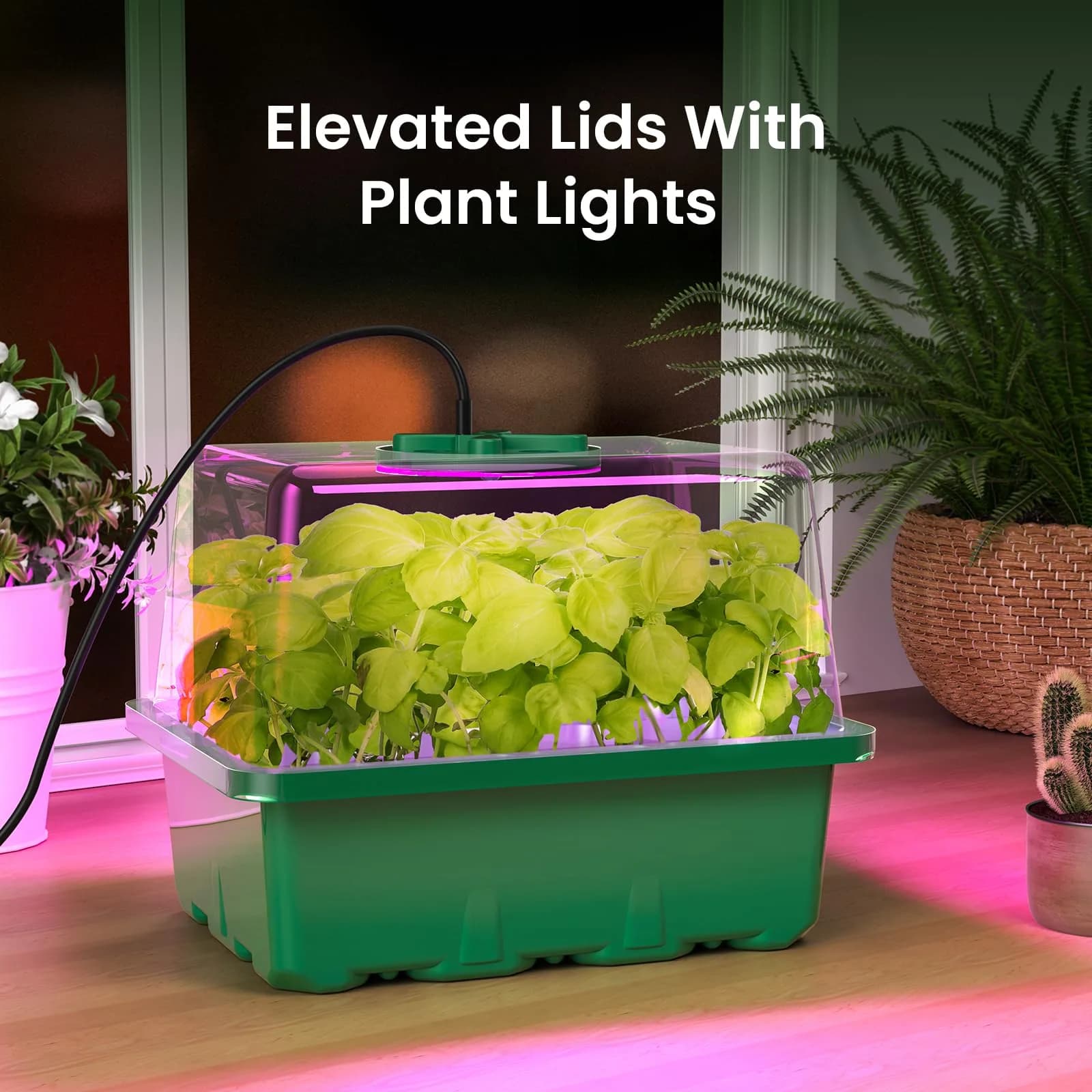 MIXC Green 6 Pack Seed Starter Kit with Grow Light & Humidity Dome | Indoor & Outdoor Plant Germination thumbnail 6