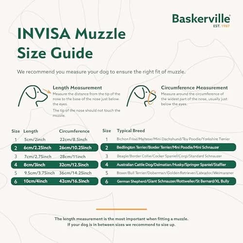 Baskerville INVISA Basket Dog Muzzle Size 1 | Transparent, Comfortable & Safe for Small Dogs thumbnail 5