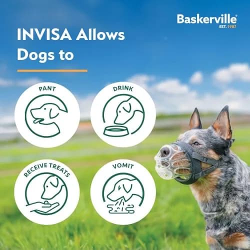 Baskerville INVISA Basket Dog Muzzle Size 1 | Transparent, Comfortable & Safe for Small Dogs thumbnail 8