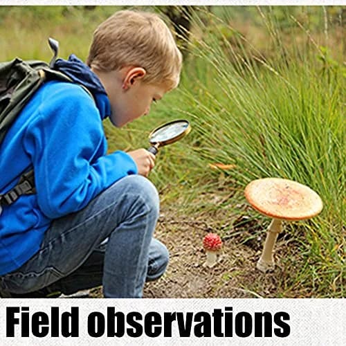 COCOMK Handheld Magnifying Glass 6X Magnification with Wooden Handle, 80mm Optical Glass Lens | Visual Aid for Reading & Inspection thumbnail 5