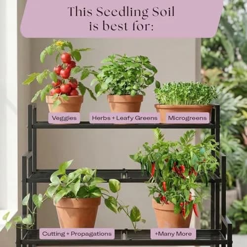 Rosy Soil Seedling Soil Mix 4 Quarts | Organic, Peat-Free, Supports Root Growth thumbnail 8