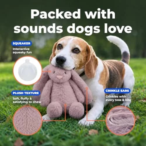 Best Pet Supplies Bunny Buddy Squeaky Plush Dog Toy - Mauve, Small | Stimulating, Durable & Enriching for Small & Medium Breeds thumbnail 5