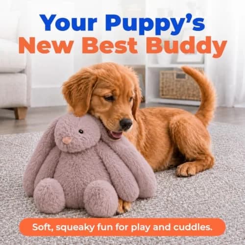 Best Pet Supplies Bunny Buddy Squeaky Plush Dog Toy - Mauve, Small | Stimulating, Durable & Enriching for Small & Medium Breeds thumbnail 2