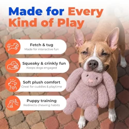 Best Pet Supplies Bunny Buddy Squeaky Plush Dog Toy - Mauve, Small | Stimulating, Durable & Enriching for Small & Medium Breeds thumbnail 3