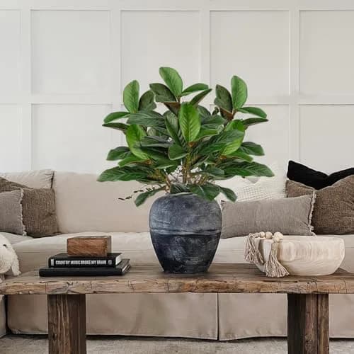 Briful Artificial Magnolia Leaves Stems 3PCS 74cm | Lifelike Greenery for Elegant Decor thumbnail 5