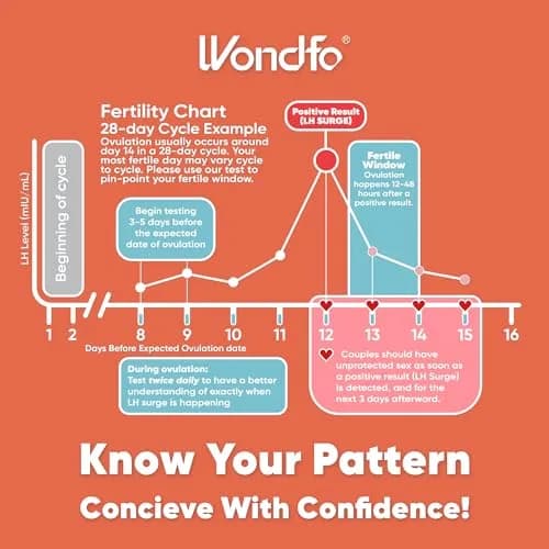 Wondfo Ovulation Pregnancy Test Bundle, 25 LH, 10 HCG Strips | Reliable Fertility Monitoring thumbnail 6