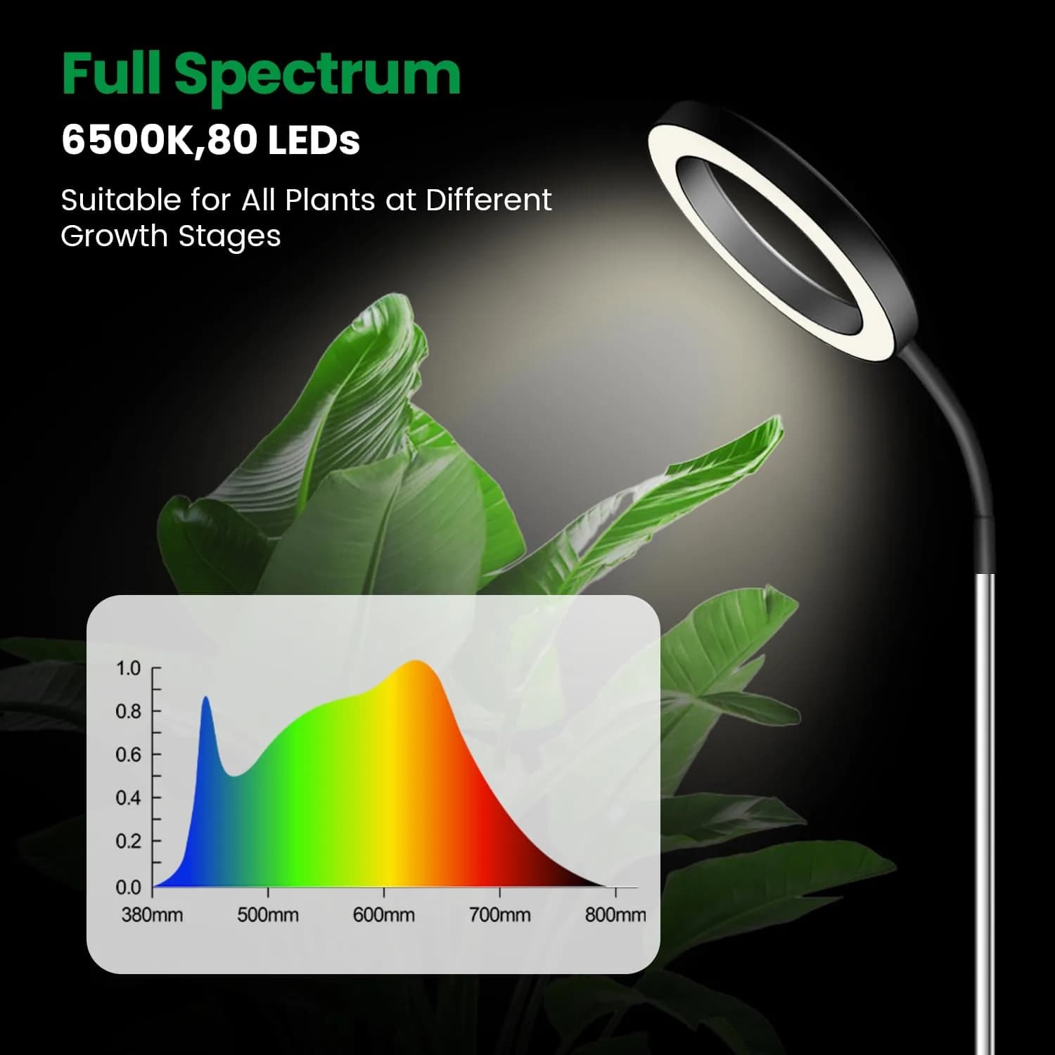 Garpsen Halo Grow Light with Gooseneck, Full Spectrum LED Plant Light 65'' Height Adjustable, 2-Pack - view 4