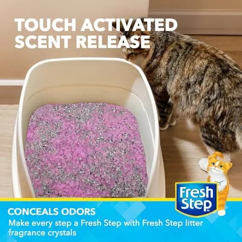 Fresh Step Cat Litter Crystals Deodorizer, Sweet Blossom Scent, 425g (15 Ounce) | Non-Toxic Odor Neutralizing Crystals for Litter Boxes thumbnail 3