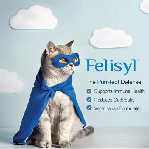 Felisyl L-Lysine Gel for Cats & Kittens 5oz | Immune & Respiratory Support thumbnail 6