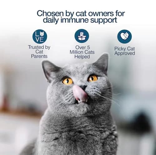 Felisyl L-Lysine Gel for Cats & Kittens 5oz | Immune & Respiratory Support thumbnail 9