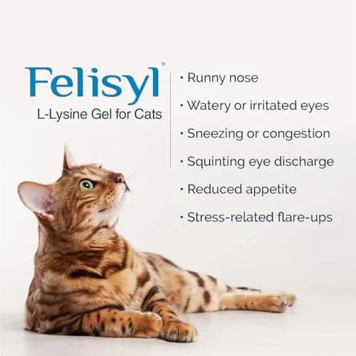Felisyl L-Lysine Gel for Cats & Kittens 5oz | Immune & Respiratory Support thumbnail 2