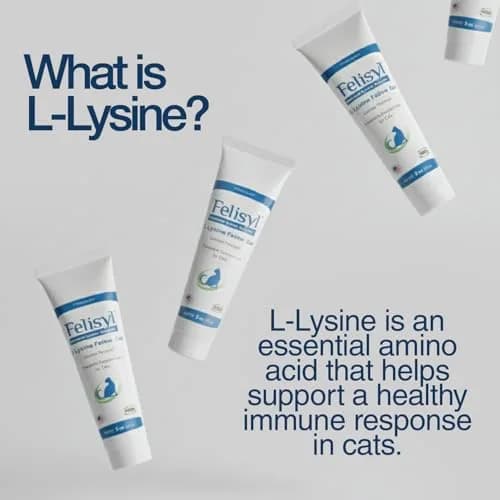 Felisyl L-Lysine Gel for Cats & Kittens 5oz | Immune & Respiratory Support thumbnail 3
