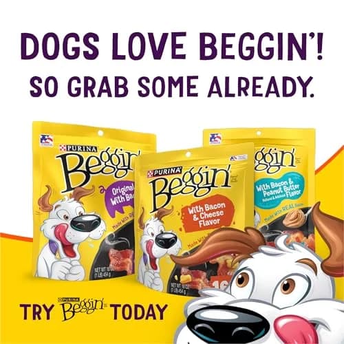 Purina Beggin’ Flavor Stix Treats for Dogs 40 oz. Bacon & Cheddar Jack | Real Meat & No Artificial Flavors thumbnail 9