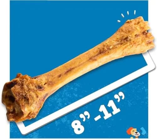 Jack&Pup Beef Shin Bones 8-11” | Long Lasting Natural Dog Bones for Large Dogs thumbnail 4