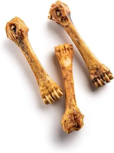 Jack&Pup Beef Shin Bones 8-11” | Long Lasting Natural Dog Bones for Large Dogs thumbnail 2