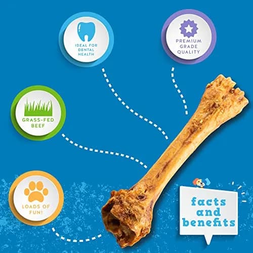 Jack&Pup Beef Shin Bones 8-11” | Long Lasting Natural Dog Bones for Large Dogs thumbnail 3