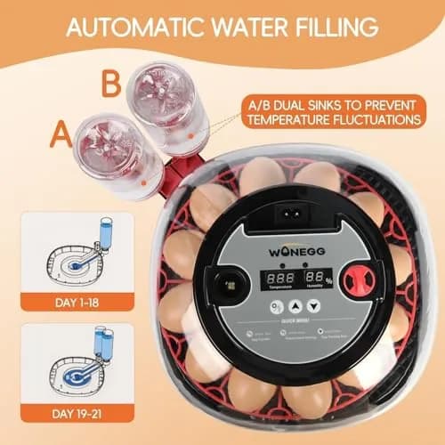 ZEMIRO CHARGE Series II Incubator 12 Egg | Auto Humidity & Temp Control, Beginner Friendly thumbnail 4