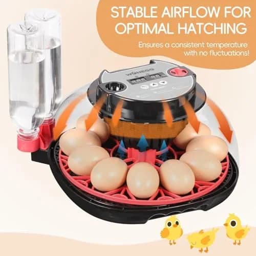 ZEMIRO CHARGE Series II Incubator 12 Egg | Auto Humidity & Temp Control, Beginner Friendly thumbnail 6