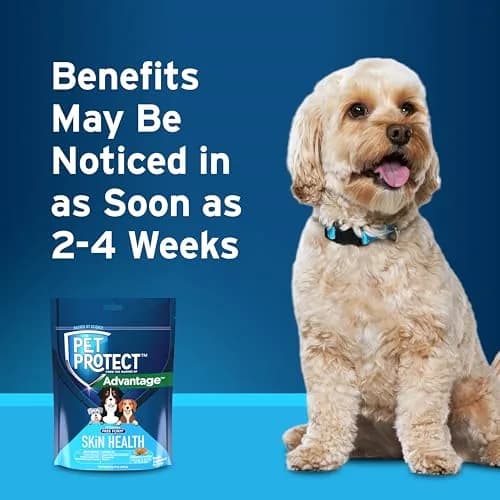 Pet Protect Skin Health Supplement for Dogs, Bacon Flavor, 60ct | Supports Sensitive Skin & Moisture thumbnail 6