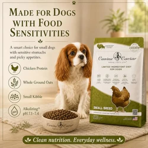 Canine Caviar Small Breed Dry Dog Food Chicken & Ground Oats 11 lb | Grain-Free, pH Balanced thumbnail 4