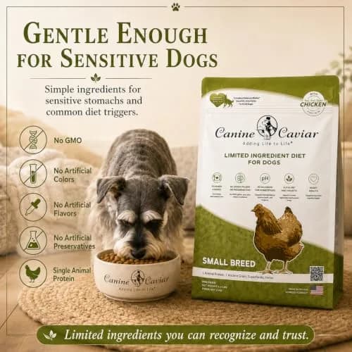 Canine Caviar Small Breed Dry Dog Food Chicken & Ground Oats 11 lb | Grain-Free, pH Balanced thumbnail 5