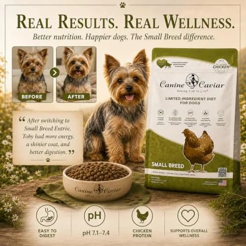 Canine Caviar Small Breed Dry Dog Food Chicken & Ground Oats 11 lb | Grain-Free, pH Balanced thumbnail 9