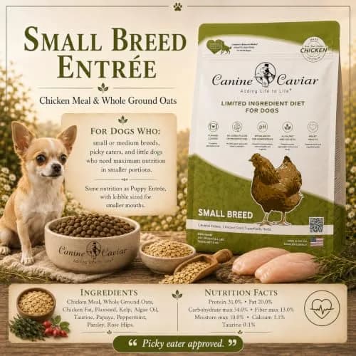 Canine Caviar Small Breed Dry Dog Food Chicken & Ground Oats 11 lb | Grain-Free, pH Balanced thumbnail 2