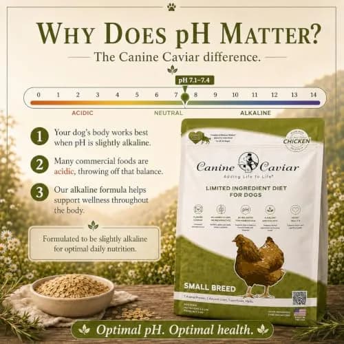Canine Caviar Small Breed Dry Dog Food Chicken & Whole Ground Oats 22 lb | Grain-Free, pH Balanced thumbnail 8