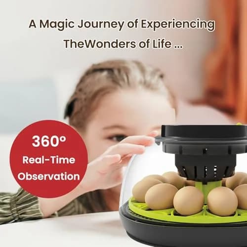 TRIOCOTTAGE 12 Egg Incubator with Automatic Turning & Humidity Control, 7.5"x7.5"x6.6" | Lab Supply for Hatching thumbnail 6