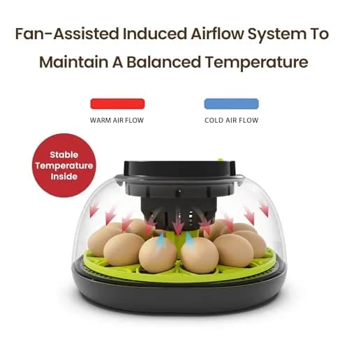 TRIOCOTTAGE 12 Egg Incubator with Automatic Turning & Humidity Control, 7.5"x7.5"x6.6" | Lab Supply for Hatching thumbnail 2