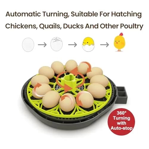 TRIOCOTTAGE 12 Egg Incubator with Automatic Turning & Humidity Control, 7.5"x7.5"x6.6" | Lab Supply for Hatching thumbnail 3