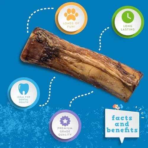 Jack&Pup Marrow Bones for Dogs 2 Pack | Long Lasting Beef Bones for Large Dogs (6") thumbnail 2