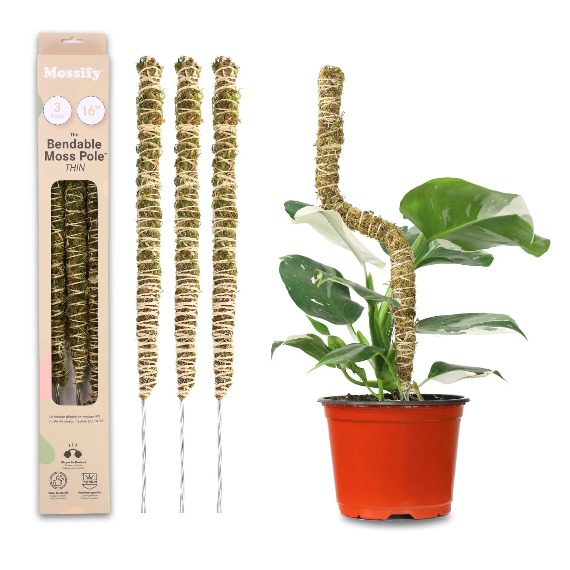 Mossify Bendable Moss Pole 30'' (76.2 cm) - 3 Pack, Natural Forest Moss | Flexible Climbing Plant Support for Monstera, Pothos, Philodendron — Assorted (16/30/42)