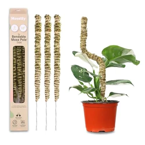 Mossify Bendable Moss Pole 3 Pack Assorted 16/30/42'' | Original Patented Design for Climbing Plants thumbnail 1